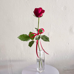 Rosa Vase 🌹