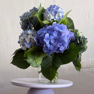 Hydrangea Vase